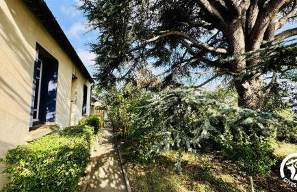La maison des hérissons - Foto 18
