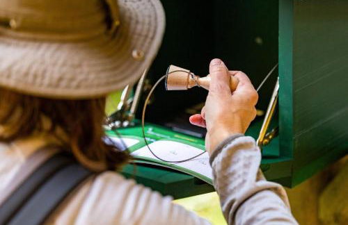 Ferienwohnung Klaus - Photo 16