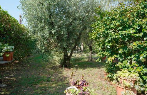 La Casa dell'Olivo - Foto 27