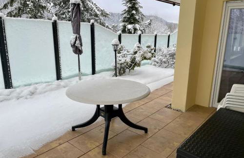 Haus Jenni im Schwarzwald, 3,5-Zimmer, große Terrasse - Foto 75