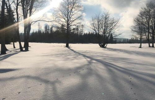 Altes Forsthaus Königskrug - Foto 9