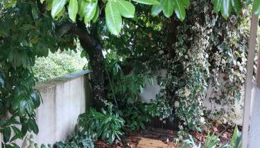 T2 lumineux avec jardinet - Barbotan les Thermes - Photo 3, Garden