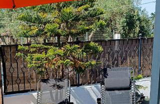 Lyra's house - Foto 13