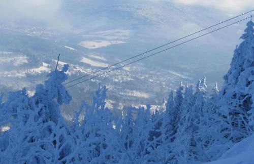 Ferienhaus in Rinchnach am Arbersee - Foto 39