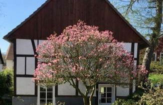 Gemütliches Ferienhaus im Extertal/ Lippe - Foto 1