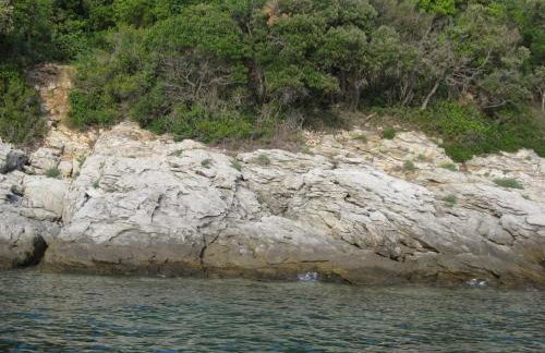 House Stivan (4239) - Foto 40