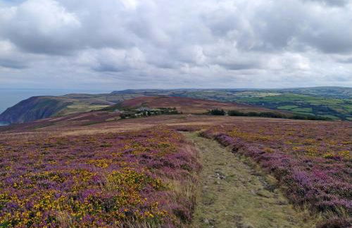 Seadom House - Foto 41