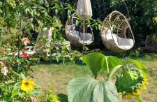 Ostoja Kamionki - Foto 10