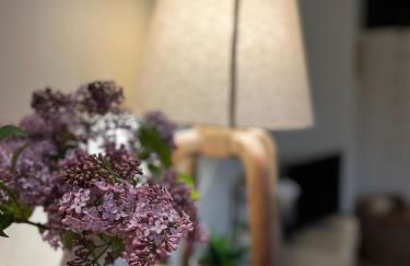 Peaceful Dyfi Valley Cottage - Hendre-gau - Photo 33