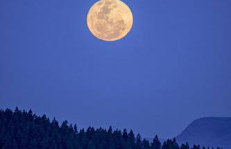 Domo nas Alturas! Lareira, Hidro e Céu Estrelado - Foto 25