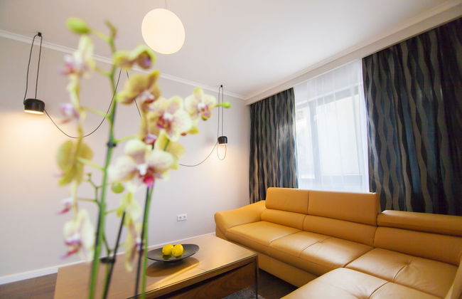 Cluj Business Class - Foto 28