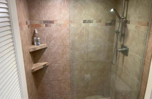 Whale Watching from the Lanai - Oceanfront Condo in West Maui - Foto 16