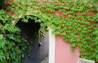 Villa Margherita vicino a SESTRI levante appartamento per 5 in Villa ottocentesca - Foto 27