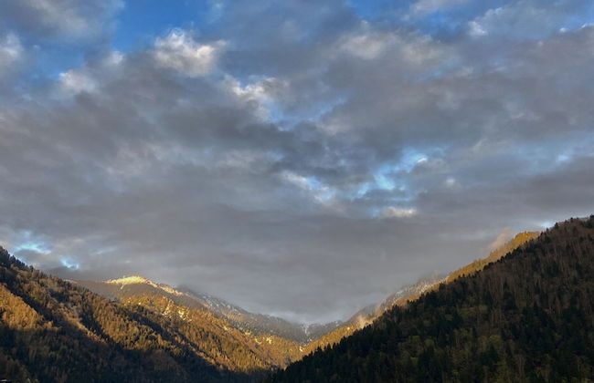 Leyli Comfort - Foto 10