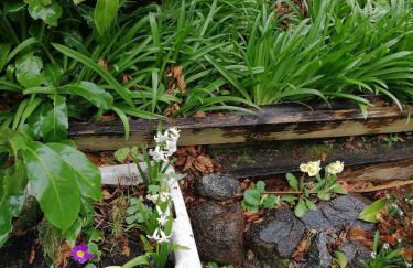 The Beeches - Foto 21