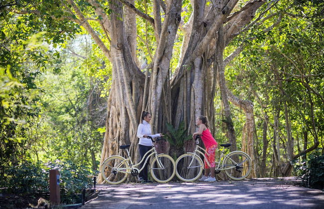 Hacienda de Mita - Photo 66