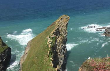 The Haven - Photo 60