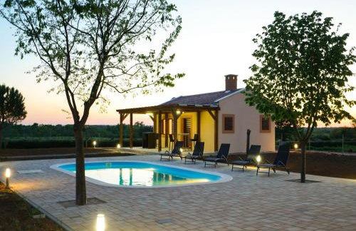 Holiday Home in Prkos With Private Pool - Foto 12