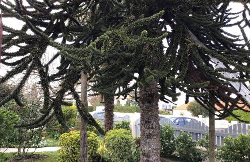 Super studio coup de cœur - Foto 18