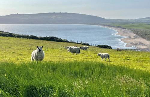 Greenland - Photo 36