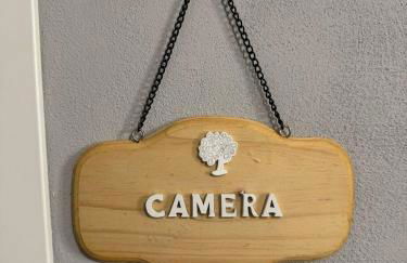 NEpicentro - Foto 31