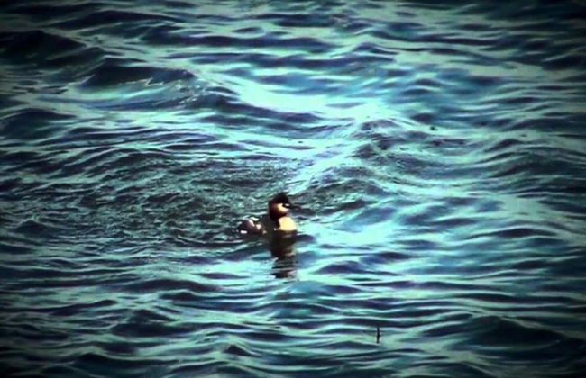 Characteristic Apartment in Codigoro With Pool - Foto 54