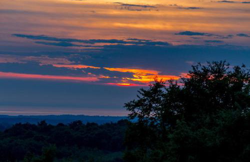 Villa Parenzana - Photo 77