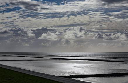 Heimathafen Sillenstede - Foto 31