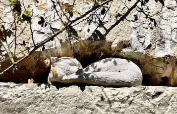 Gite du Coustal, Cajarc, Lot - Photo 34