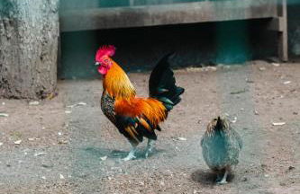 GILS Experience - Photo 52