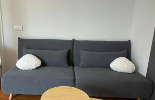 Marismas de Cantabria cerca de Laredo - Foto 17