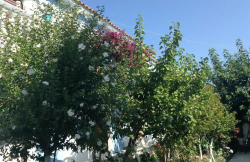 Dina Studios - Photo 24