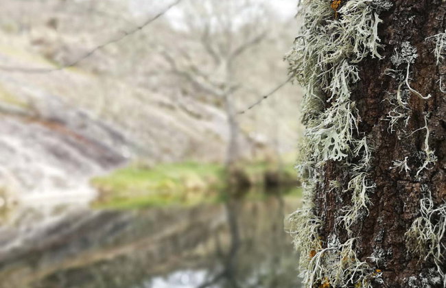 Senderismo por Vilar Maior - Photo 5