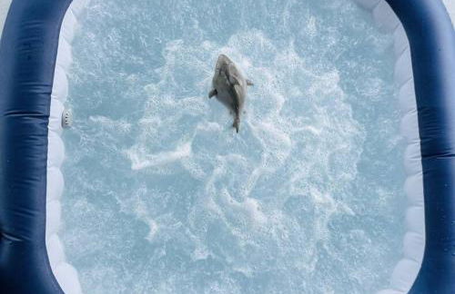 Fireside Hot Tub, King Bed Suite - Foto 19