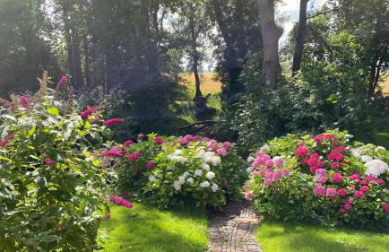 Dachgeschosswohnung Warft Simmerdeis in Reetdachhaus mit parkähnlichem Garten - Foto 22