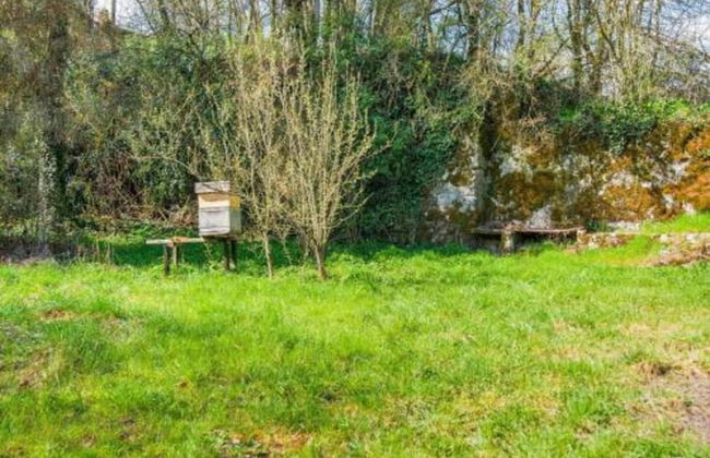 Nature Chalet in Somme-leuze - Foto 28