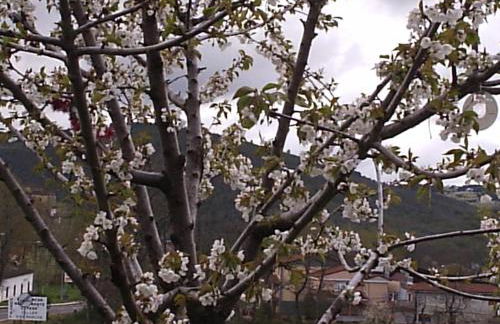 Casa Rural Amelia - Foto 36