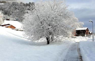 Charmant Studio Duplex 26m2 à la montagne - Foto 12