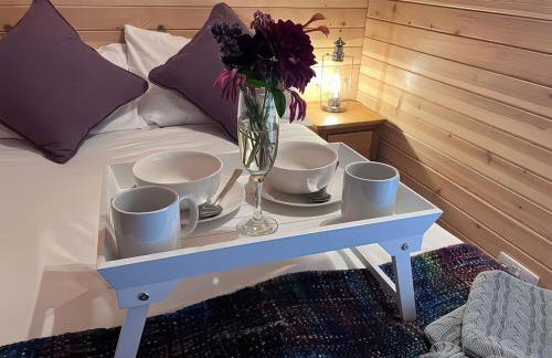 The Nest Pod - Foto 5