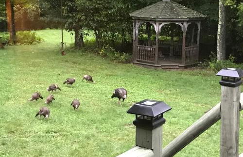 Roscoe Retreat - Foto 67