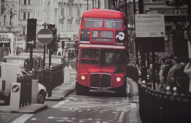 Color Suites Alicante - Foto 40