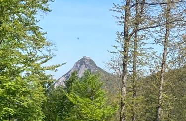 Gîte col de la lauze avec vue sur le château de Montségur - Foto 23