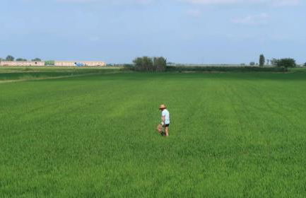 Mas de Melonet Delta del Ebro - Foto 45