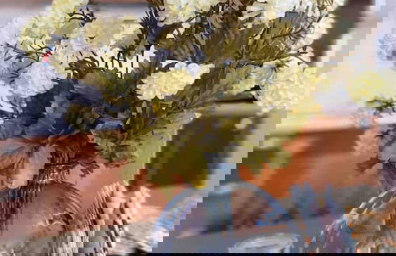 B&B Vagabondo Holiday Apartment - Foto 7