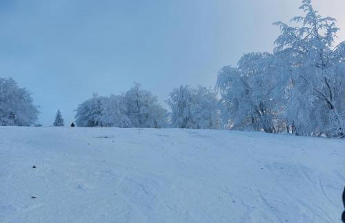 HAUS BRAILEN in Brilon Alme - Foto 57