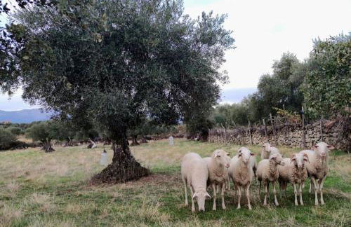 Tu Casa De Pueblo - Photo 30