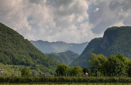 Agriturismo I Comelli - Foto 88