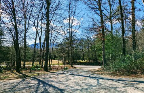 Oasis on 151 - Ideal Location on Brew Ridge Trail - Foto 12