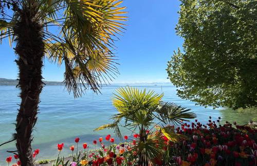 Bodensee Strandläufer Quartier - Foto 4
