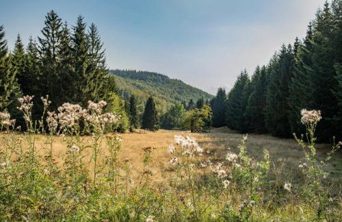 Waldpark Krätzersrasen FH3 - Foto 15